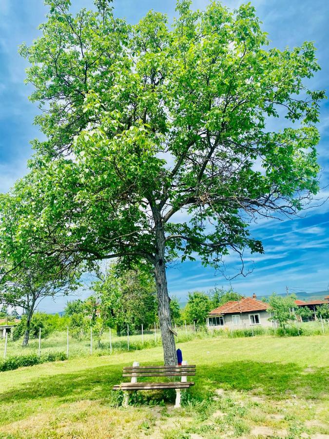 Caravans 10 Min To Tsonevo Lake & 35 Min To Black Sea Exterior photo