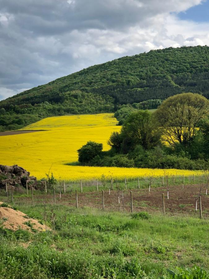 Caravans 10 Min To Tsonevo Lake & 35 Min To Black Sea Exterior photo